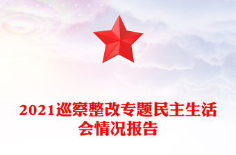 2021巡察整改專題民主生活會(huì)情況報(bào)告