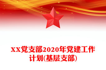 XX黨支部2020年黨建工作計劃(基層支部)
