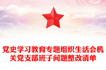 黨史學(xué)習(xí)教育專題組織生活會機關(guān)黨支部班子問題整改清單