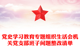 黨史學(xué)習(xí)教育專題組織生活會(huì)機(jī)關(guān)黨支部班子問(wèn)題整改清單