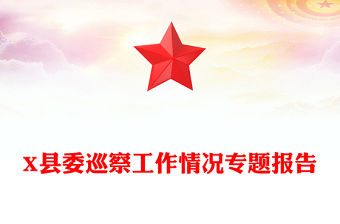 X縣委巡察工作情況專題報告