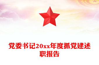 黨委書記20xx年度抓黨建述職報告