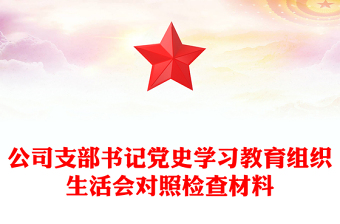 公司支部書記黨史學(xué)習(xí)教育組織生活會(huì)對(duì)照檢查材料