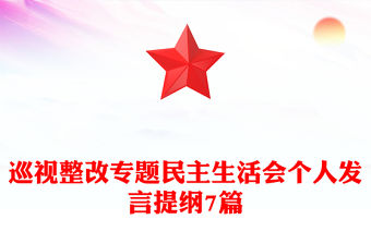 巡視整改專題民主生活會個人發言提綱7篇