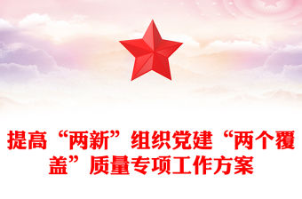 2025什邡兩新組織黨建述職