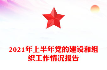 2021年上半年黨的建設和組織工作情況報告