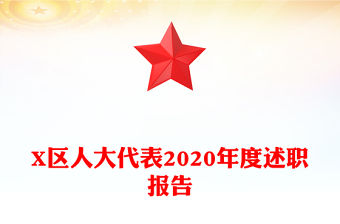X區人大代表2020年度述職報告