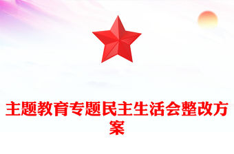 主題教育專題民主生活會整改方案