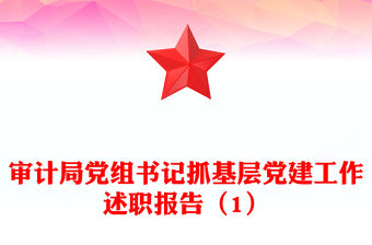 審計局黨組書記抓基層黨建工作述職報告（1）