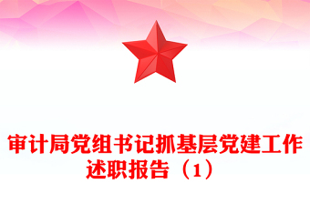 審計(jì)局黨組書(shū)記抓基層黨建工作述職報(bào)告(1)