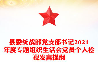 縣委統(tǒng)戰(zhàn)部黨支部書記2021年度專題組織生活會黨員個人檢視發(fā)言提綱