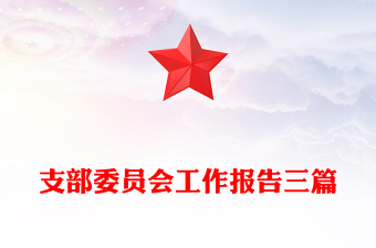 支部委員會工作報告三篇