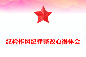 紀(jì)檢作風(fēng)紀(jì)律整改心得體會
