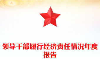 領導干部履行經濟責任情況年度報告