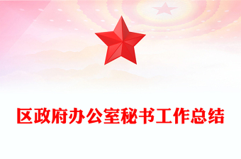 區(qū)政府辦公室秘書工作總結(jié)