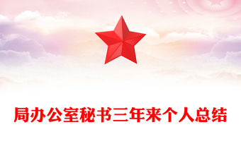 局辦公室秘書三年來個人總結