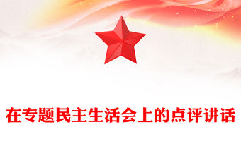 在專題民主生活會上的點評講話