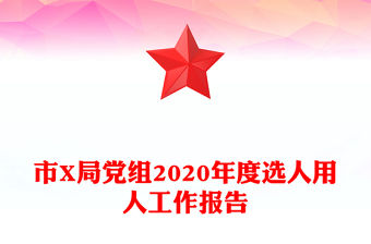市X局黨組2020年度選人用人工作報告