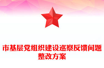 市基層黨組織建設巡察反饋問題整改方案