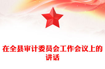在全縣審計委員會工作會議上的講話