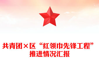 共青團×區“紅領巾先鋒工程”推進情況匯報