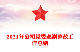 2021年公司黨委巡察整改工作總結