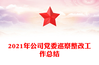 2021年公司黨委巡察整改工作總結(jié)