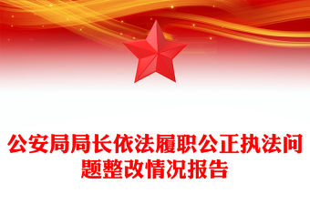 公安局局長依法履職公正執法問題整改情況報告