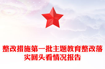 整改措施第一批主題教育整改落實回頭看情況報告