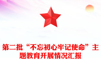 第二批“不忘初心牢記使命”主題教育開展情況匯報(bào)