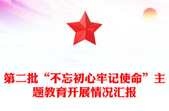 第二批“不忘初心牢記使命”主題教育開展情況匯報(bào)