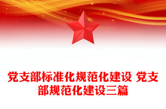 黨支部標準化規范化建設 黨支部規范化建設三篇