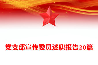 黨支部宣傳委員述職報告20篇
