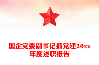 國企黨委副書記抓黨建20xx年度述職報告