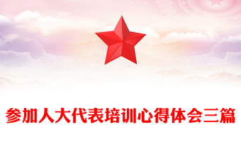 參加人大代表培訓心得體會三篇