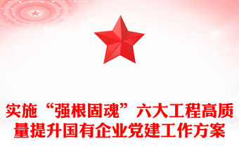 實施“強根固魂”六大工程高質量提升國有企業黨建工作方案