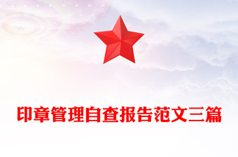 印章管理自查報(bào)告范文三篇