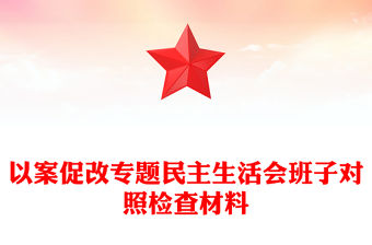 以案促改專題民主生活會班子對照檢查材料