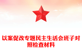 以案促改專題民主生活會班子對照檢查材料