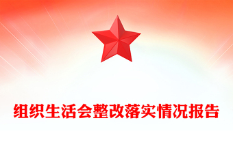 組織生活會整改落實(shí)情況報(bào)告
