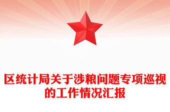 區統計局關于涉糧問題專項巡視的工作情況匯報