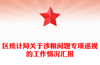 區(qū)統(tǒng)計局關于涉糧問題專項巡視的工作情況匯報