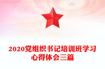 2020黨組織書記培訓班學習心得體會三篇