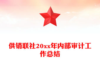 供銷聯(lián)社20xx年內(nèi)部審計(jì)工作總結(jié)