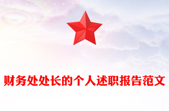 財務處處長的個人述職報告范文