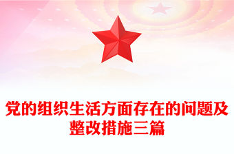 黨的組織生活方面存在的問題及整改措施三篇