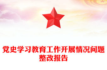 黨史學習教育工作開展情況問題整改報告