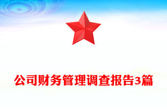 公司財(cái)務(wù)管理調(diào)查報(bào)告3篇