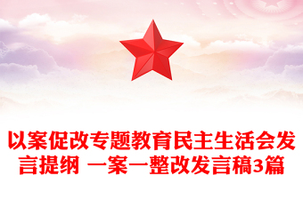 以案促改專題教育民主生活會發(fā)言提綱 一案一整改發(fā)言稿3篇