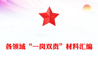 各領(lǐng)域“一崗雙責(zé)”材料匯編